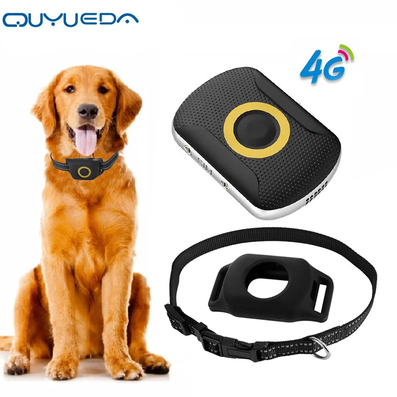 Smart 4G GPS Pet Tracker & Activity Monitor for Dogs & Cats