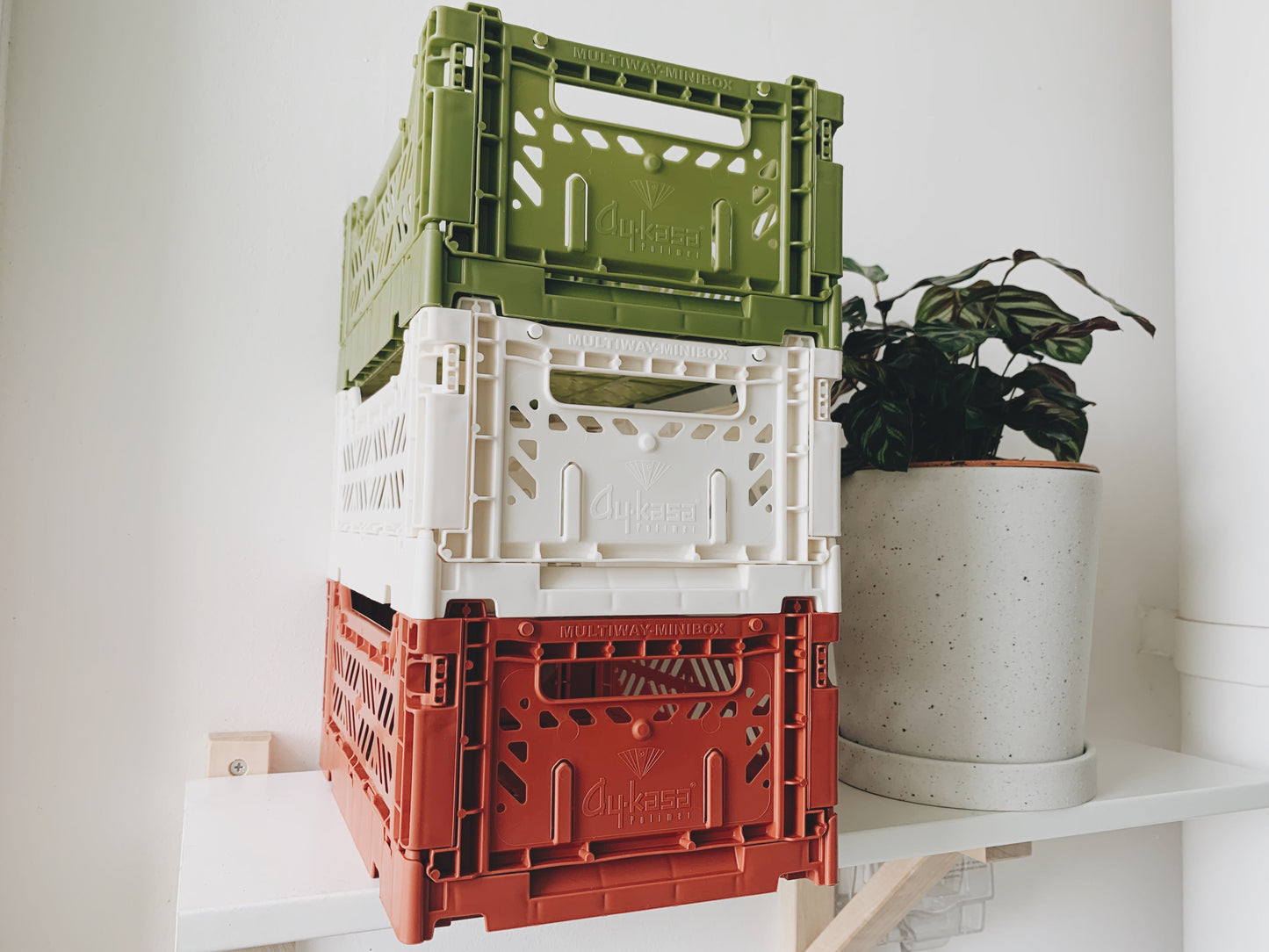 Aykasa Folding Minibox Colour Crate