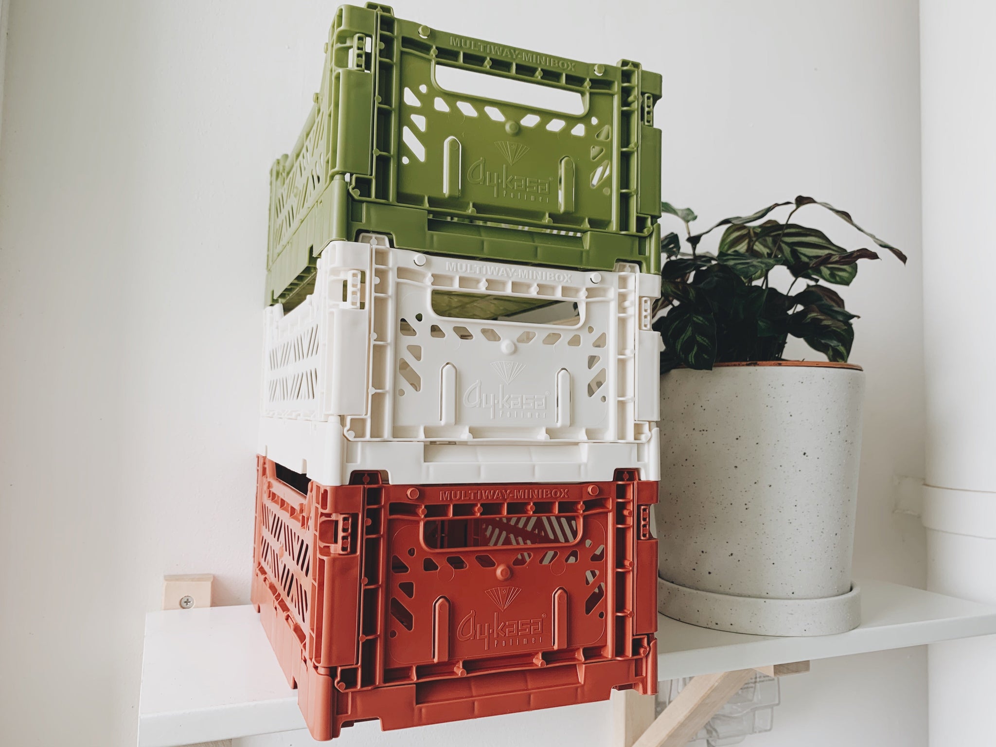 Aykasa Folding Minibox Colour Crate