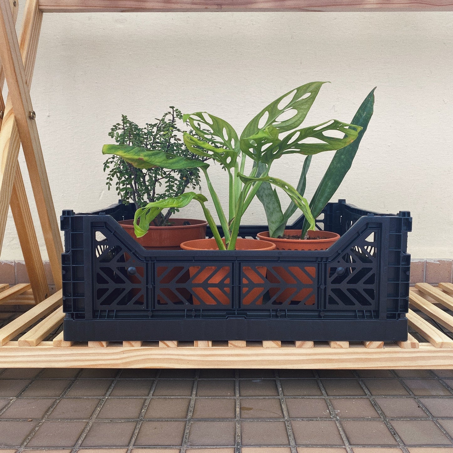 Aykasa Folding Midibox Colour Crate