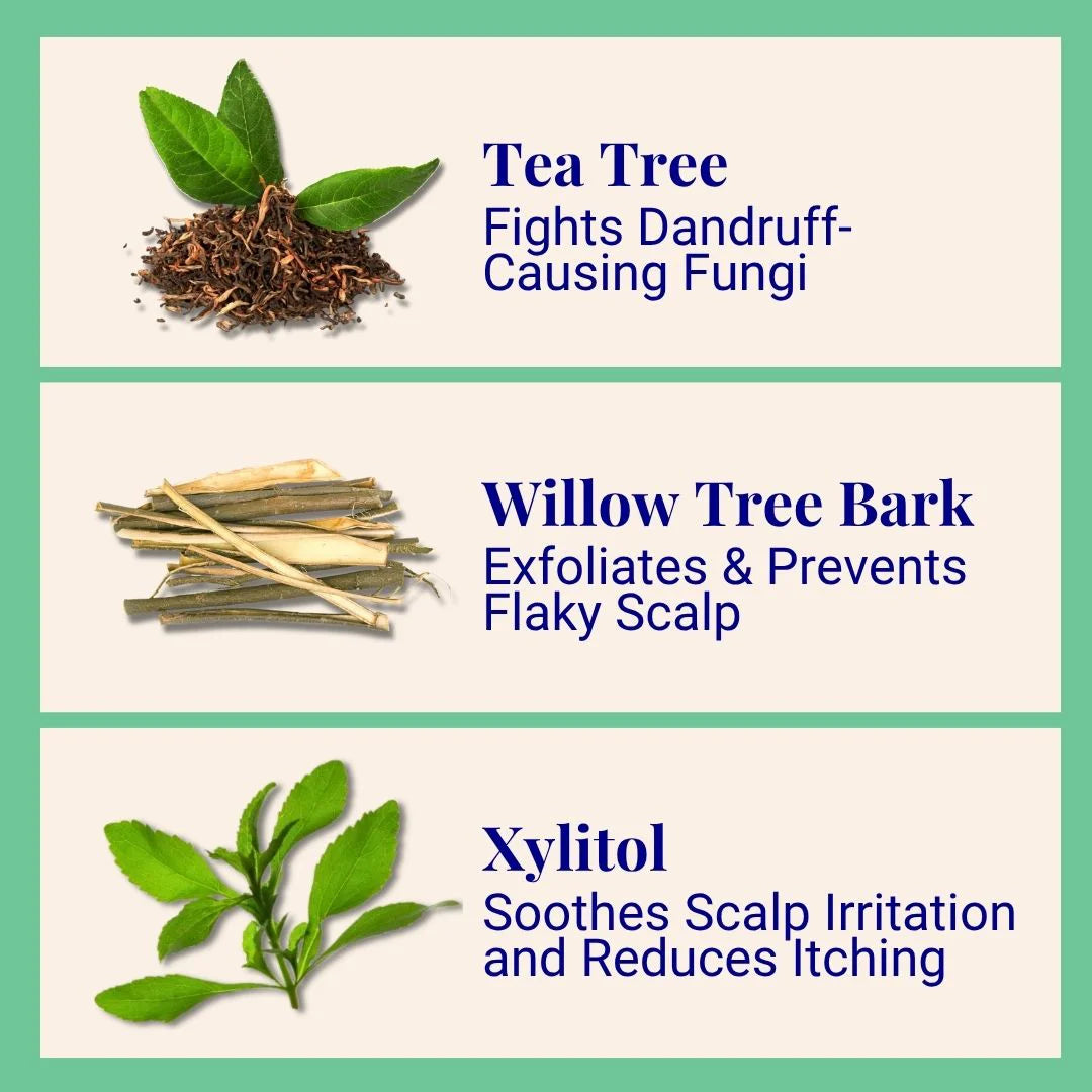 Exfoliating Shampoo For Loose Dandruff Flakes Tea Tree & Salicylic Acid 70g