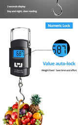 50kg Portable Electronic Portable Luggage Scale Digital
