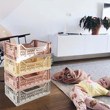 Aykasa Folding Midibox Colour Crate