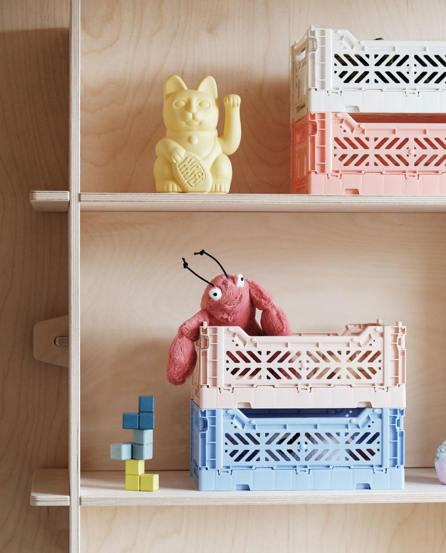 Aykasa Folding Minibox Colour Crate